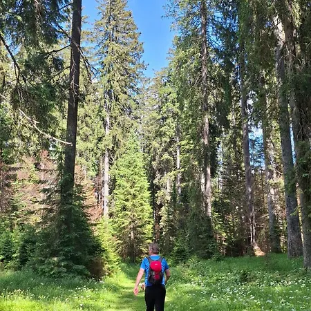 Harmonia Bled-pokljuka Počitniška hiša Zgornje Gorje