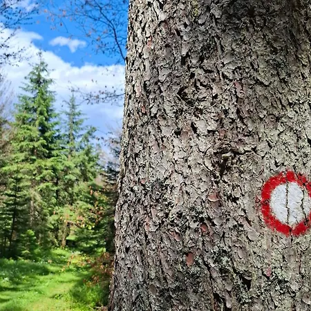 Počitniška hiša Harmonia Bled-pokljuka *