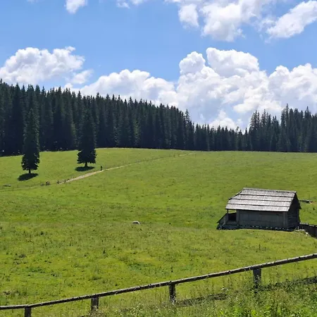 Počitniška hiša Harmonia Bled-pokljuka Zgornje Gorje