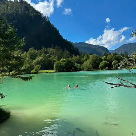 Harmonia Bled-pokljuka Zgornje Gorje